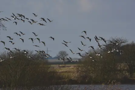 Schöne Strandwanderungen in der reinen Nordseeluft, durchatmen an einem Badeort, der durch seine Halbinsellage beeindruckt. 
Das ist Horumersiel an der Nordseeküste. Ein Kurzurlaub an der Nordsee in Horumersiel ist zu jeder Jahreszeit schön. 
Suchen Sie einen angenehmen Badeort für ein romantisches Wochenende im Herbst oder für einen Kurztrip zwischendurch? In Horumersiel werden ihre Urlaubsträume Wirklichkeit. Mit ausgedehnten Strandanlagen, Wellness-Oasen und einer vielseitigen Gastronomie lässt der Badeort an der Nordseeküste keine Wünsche offen. Erleben Sie die herzliche friesische Gastfreundschaft im Hotel Leuchtfeuer Horumersiel!

Kommen Sie nach Horumersiel und verbringen den nächsten Kurzurlaub oder Ihren Wochenendurlaub im Herbst in der schönen, grünen friesischen Landschaft. Gestalten Sie Ihre schönsten Tage im Jahr ganz nach Ihren Wünschen. Horumersiel bietet angenehmen, erholsamen Urlaub für Familien, Einzelreisende, Sportfans und Wellnessurlauber.

Entdecken Sie die Schönheiten und den Artenreichtum des Weltnaturerbes Wattenmeer, genießen Sie die Erholung vom Alltag im Ihrem Strandkorb am Sandstrand oder erkunden Sie den romantischen Ortskern. 
Auch die benachbarten Städtchen Hohenkirchen, Schillig, Hooksiel sowie Jever und die Stadt Wilhelmshaven warten darauf, von Ihnen entdeckt zu werden!
